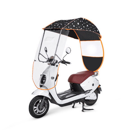 canopy umbrella for ebike