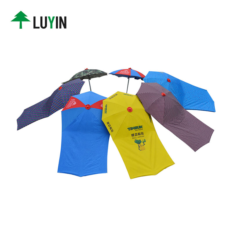 Luyin Array image263