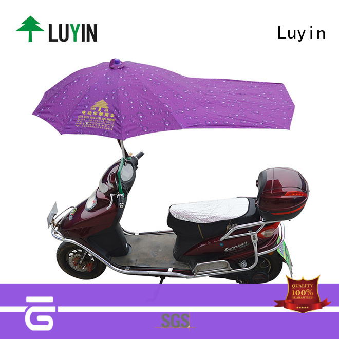 Luyin umbrella mount for bike factory for E-Bike